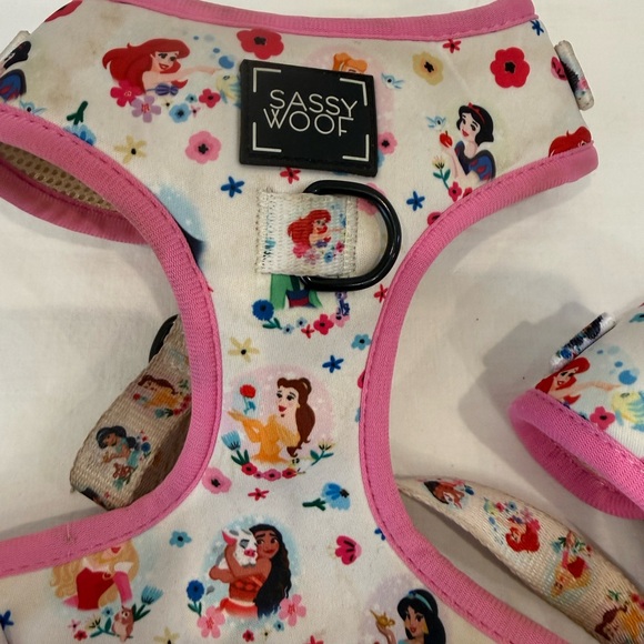 Disney Sassy Wolf Princess Harness – XS & S – Like New - Picture 2 of 6